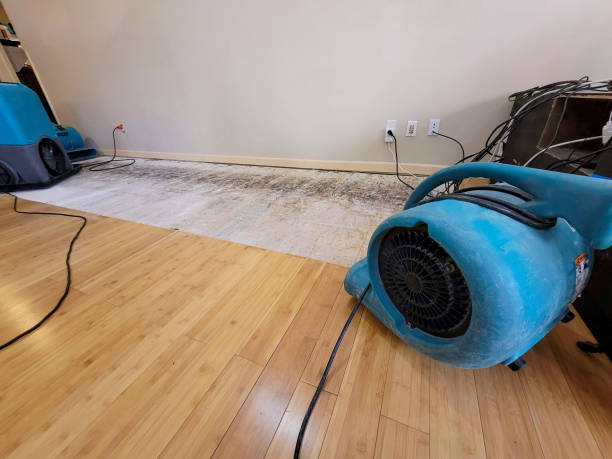 Professional Flood Damage Cleanup technician working in Toquerville, UT